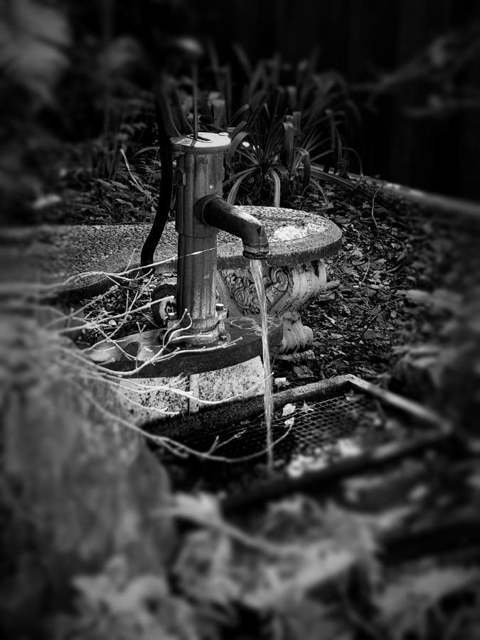 Enchanted Escape ピクトン エクステリア 写真